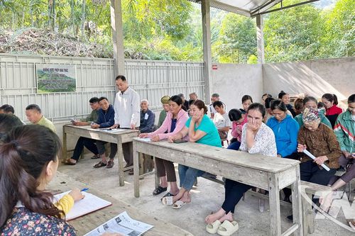 Giấy thông hành xanh cho lâm nghiệp Thái Nguyên