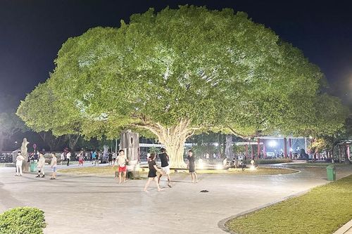 Huế hướng tới thành phố xanh