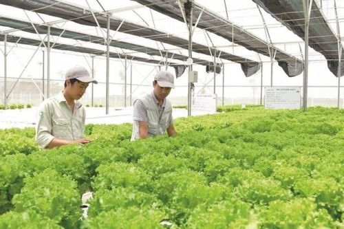 Thu hút nguồn vốn FDI để phát triển nông nghiệp bền vững