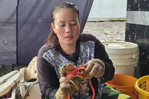 Xây dựng chuỗi liên kết, nâng tầm thương hiệu cua Cà Mau