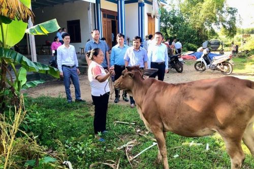 Nghệ An: Người dân ngày càng chủ động vươn lên thoát nghèo