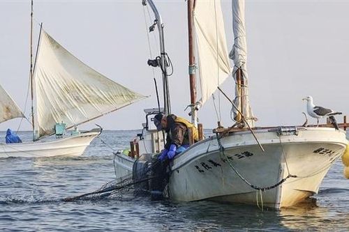 Căng thẳng ngoại giao leo thang, Trung Quốc ngừng nhập khẩu thủy sản Nhật Bản