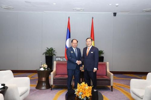 Việt Nam - Lào siết chặt phối hợp phòng, chống ma túy, mua bán người