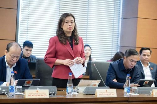 Cần bố trí nguồn kinh phí của Trung ương để thực hiện các nhiệm vụ xây dựng, sửa chữa mốc giới nhất là ở những địa phương biên giới còn nhiều khó khăn