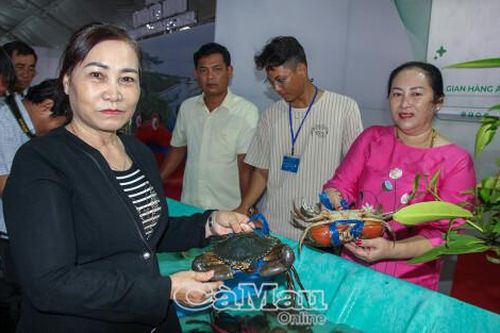 Cua Cà Mau - Hướng tới tương lai xanh