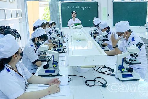 Đào tạo sát thực tiễn, hướng đến chuẩn nghề nghiệp