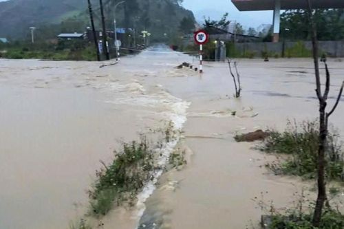 Tìm cách ngăn lũ tràn vào trại nuôi cá tầm, người đàn ông bị nước cuốn mất tích