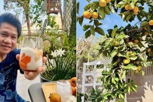 Loại cây trấn trạch hút lộc được 'ông hoàng nhạc đỏ' Trọng Tấn trồng đầy trong vườn nhà