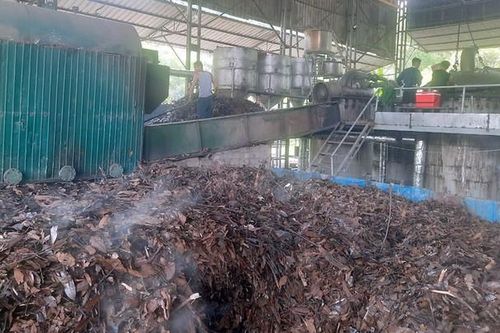 Lào Cai: Biến dược liệu bản địa thành ngành kinh tế mũi nhọn