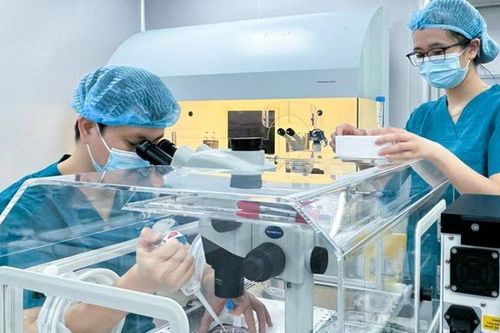 Vi nhựa xâm nhập nang trứng: Báo động mới với khả năng sinh sản nữ