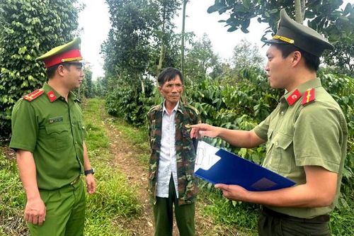 Bình yên cho mùa cà phê mới