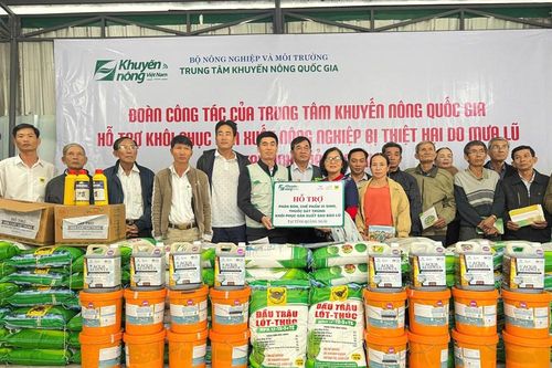 Hỗ trợ nông dân Quảng Ngãi sớm tái thiết hoạt động nông nghiệp