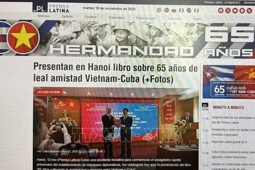 Minh chứng sống động cho tình đoàn kết Việt Nam-Cuba