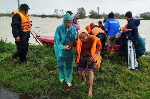 Giành giật sự sống giữa 'biển nước'
