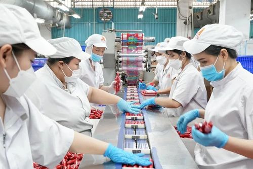 Sửa đổi Luật Bảo hiểm xã hội 2024 để phù hợp tổ chức chính quyền địa phương 2 cấp