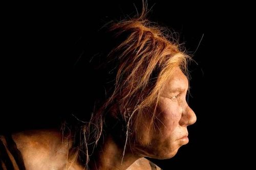 Hộp sọ người Neanderthal được bảo quản hoàn hảo hé lộ điều không ngờ