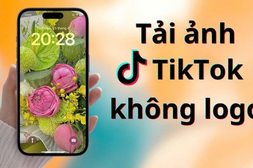 Cách tải ảnh từ TikTok không có logo mà ảnh vẫn giữ chất lượng