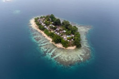Australia từ bỏ quyền đăng cai COP31 vào tay Thổ Nhĩ Kỳ, Papua New Guinea không vui