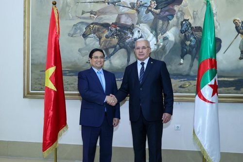 Doanh nghiệp Việt Nam đầu tư vào Algeria sẽ được hưởng ưu đãi riêng biệt