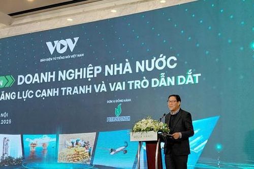 Nâng cao năng lực và vai trò dẫn dắt của doanh nghiệp nhà nước