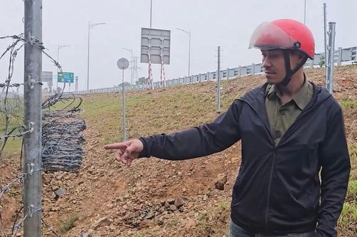 Dân 'kêu oan' trước cáo buộc tháo hàng rào để đàn bò lên đi dạo trên cao tốc Vạn Ninh – Cam Lộ