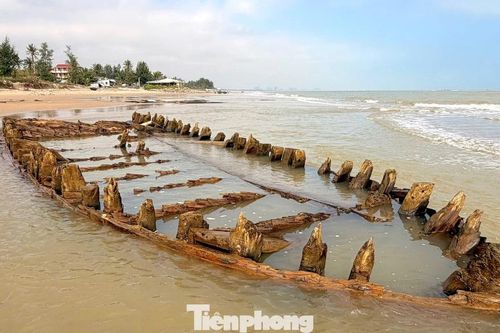Bàn phương án bảo vệ và khai quật tàu cổ xuất lộ ở bờ biển Hội An