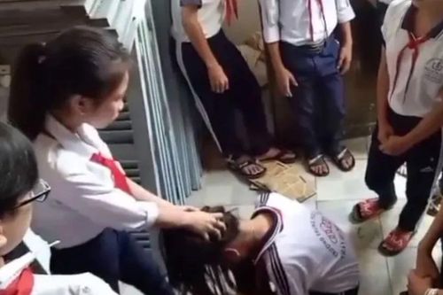 Bạo lực học đường: Cần chế tài giáo dục đặc biệt, lao động công ích, gửi đi trại giáo dưỡng