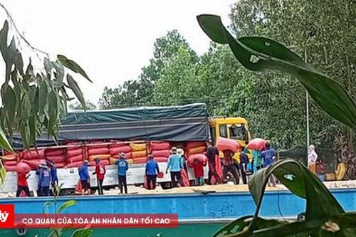 Lập bến bãi trái phép nhập khẩu lúa từ Campuchia
