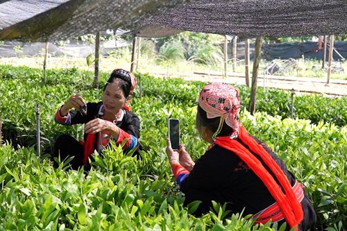 Chuyển đổi số: Câu chuyện lan tỏa tới từng ngõ xóm, thôn bản