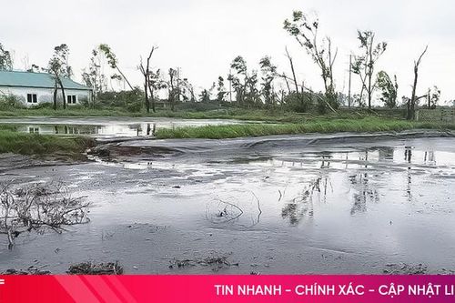 Trại lợn gây ô nhiễm kéo dài, người dân bức xúc