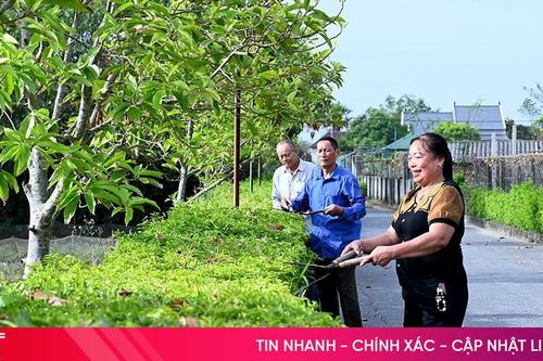 Quán triệt Nghị quyết Đại hội Đảng bộ tỉnh: Tư tưởng thông, hành động quyết liệt