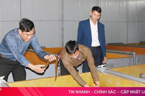 Người dân Sơn Hồng phát triển đa dạng mô hình kinh tế, tạo sinh kế bền vững