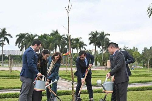 Đại sứ quán Colombia tại Việt Nam trao tặng 25 cây me tây cho thành phố Hà Nội