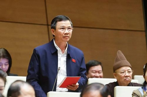 Đại biểu Quốc hội: Mô hình đại học vùng nhiều bất cập, cản trở phát triển