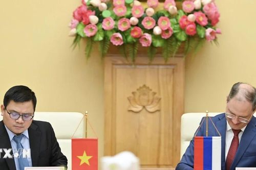 Mở rộng triển vọng hợp tác Việt Nam-Nga trong lĩnh vực năng lượng và nhân lực