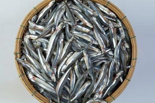 3 loại cá 'tốt hơn cả cá hồi', ở chợ Việt vừa nhiều vừa rẻ nhất cái số 1