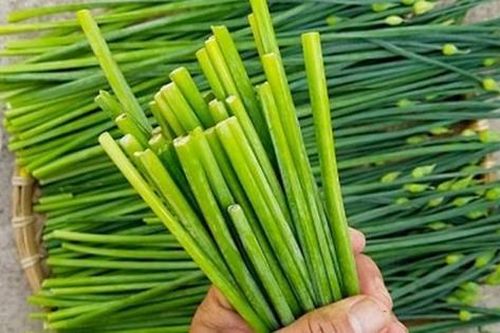 Ăn 1 nắm rau này như 'nhân sâm của người nghèo', ở quê có đầy bỏ qua quá phí