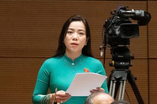 Tuyển dụng, điều động, thuyên chuyển giáo viên làm 'nóng' nghị trường Quốc hội