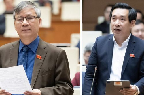 Bạo lực học đường đạt mức độ 'tàn nhẫn': Quốc hội cần gấp rút bàn giải pháp mạnh
