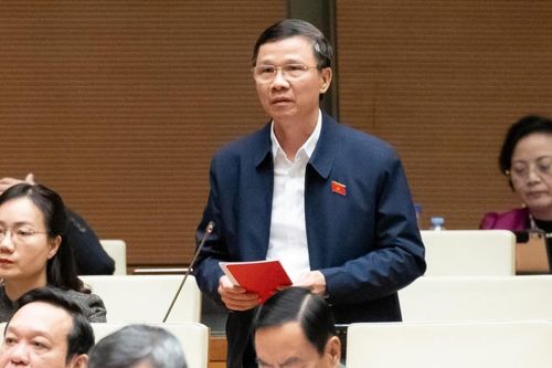 Đại biểu Quốc hội kiến nghị bỏ mô hình đại học vùng