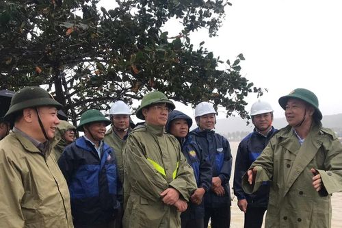 Bí thư Tỉnh ủy Thái Đại Ngọc: Quyết tâm xây dựng Cảng cá Tam Quan hiện đại và đi đầu trong chuyển đổi số