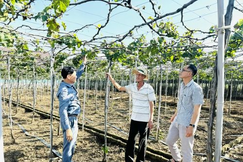 Đoàn kết xây dựng khu dân cư văn hóa