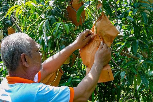 Sông Lũy chuyển mình mạnh mẽ từ nền tảng nông nghiệp