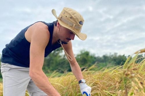 Cô Tô không chỉ có biển: Trải nghiệm gặt lúa cùng nông dân