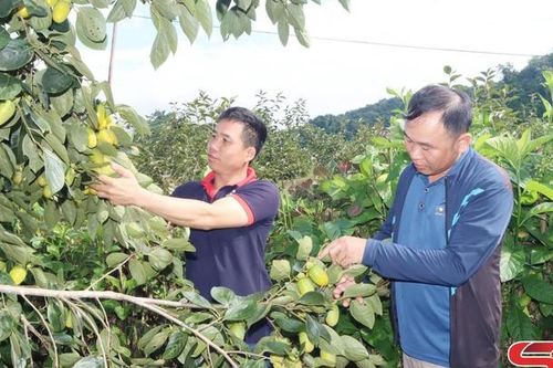 Phiêng Cằm đổi thay từ Chương trình 1719