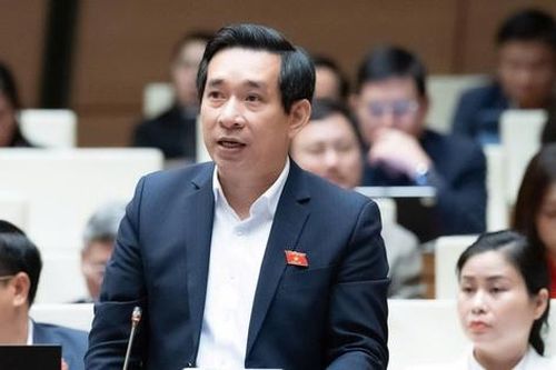 ĐBQH: Một mình Bộ Giáo dục - Đào tạo không thể ngăn chặn được bạo lực học đường