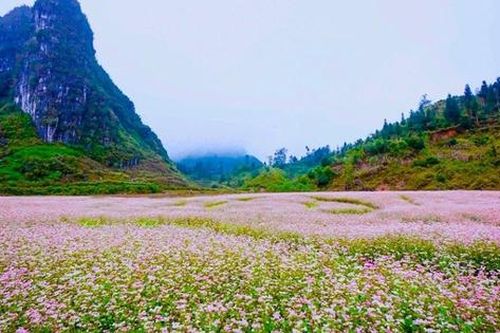 Lễ hội độc đáo nơi miền đá nở hoa