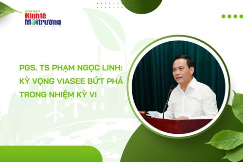 PGS.TS Phạm Ngọc Linh: Kỳ vọng VIASEE bứt phá trong nhiệm kỳ VI