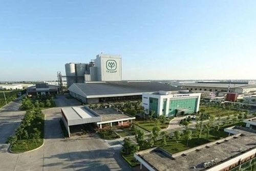 Hải Phòng: Giao gần 30.000m2 đất cho Công ty Cổ phần đầu tư phát triển Bất động sản Nam Đô để thực hiện dự án