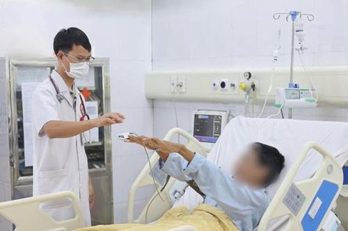 Người đàn ông nguy kịch sau khi ăn cá nóc chứa độc tố mạnh